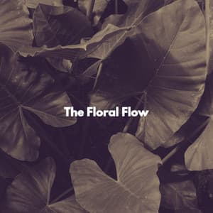 The Floral Flow - Cool Instrumental Jazz Collective
