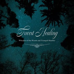 眠れる森のヒーリング〜森のささやきと静かな眠り〜 - Healing Energy