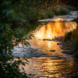 Paz Suave: Música Relajante Para La Relajación - Relajación Y Spa