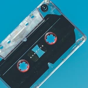 The Unicorns Are Teasing - Hook Shop