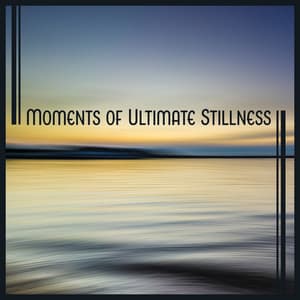 Moments of Ultimate Stillness: Time for Relax, Soul Restoring, Life Contemplation Sounds, Meditation Music - Sanctuary of Silence