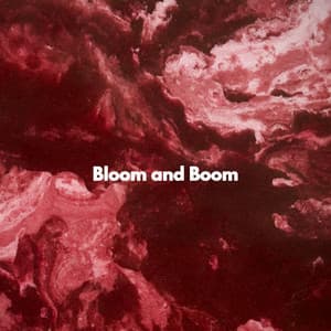 Bloom and Boom - Relaxing Piano Music Classic