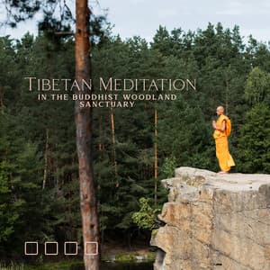 Tibetan Meditation in the Buddhist Woodland Sanctuary: Soft Meditation Music, Birds Chirping, Relax Mind and Body - Forest Hills Music Universe