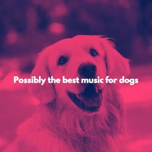 Possibly the best music for dogs - Happy Sunday Morning Music