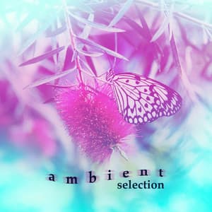Ambient Selection - Ambient Relaxation
