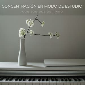 Concentración En Modo De Estudio Con Sonidos De Piano - Instrumentales de jazz para piano