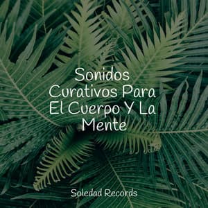 Sonidos Curativos Para El Cuerpo Y La Mente - Música Instrumental Maestro