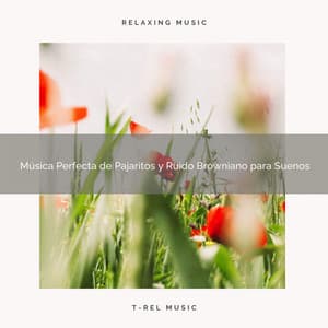 Música Perfecta de Pajaritos y Ruido Browniano para Suenos - Ruido Blanco