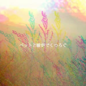 ペットと暖炉でくつろぐ - Coffee Table Jazz Radio