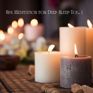 Spa Meditation for Deep Sleep Vol. 1 - The Deep Sleep Music Academy