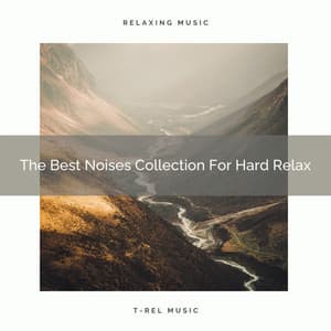 The Best Noises Collection For Hard Relax - Chill Relajente