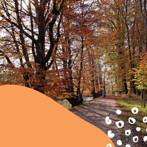 Echoes of Refreshing Spring - Cafe Chillout Classics