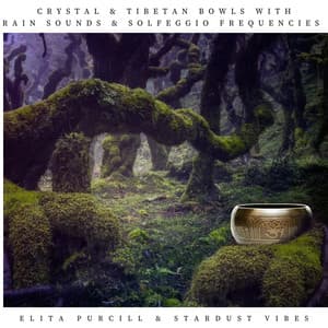 Crystal & Tibetan Bowls with Rain Sounds & Solfeggio Frequencies - Elita Purcill