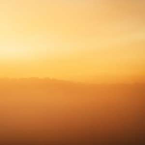 Bathing in Abundance 222 Hz - Terra Redwood