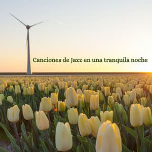 Canciones de Jazz en una tranquila noche - Coffee jazz Relax