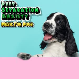Anti Anxiety Music For Dogs - Deep Separation Anxiety Music For Dogs