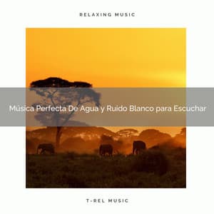 Música Perfecta De Agua y Ruido Blanco para Escuchar - Ruido Blanco