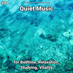 #01 Quiet Music for Bedtime, Relaxation, Studying, Vitality - Meditation Music