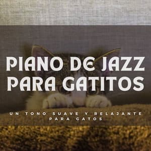Piano De Jazz Para Gatitos: Un Tono Suave Y Relajante Para Gatos - Simplemente Piano