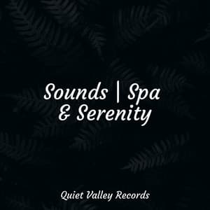 Sounds | Spa & Serenity - Calm Down