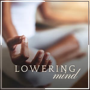 Lowering Mind - Tranquility Spree