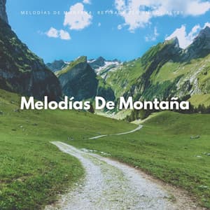 Melodías De Montaña: Retirada Zen En Los Alpes - Reiki y Tai Chi Armonía