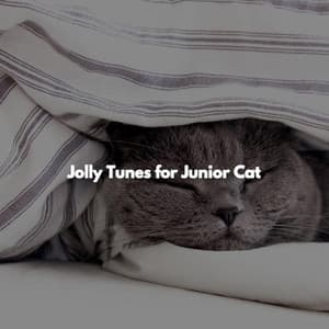 Jolly Tunes for Junior Cat - Easy Dinner Music