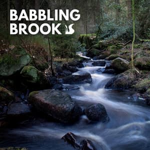 Babbling Brook - Nature Soundscapes