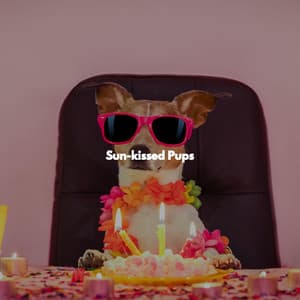 Sun-kissed Pups - Deluxe Cafe Jazz