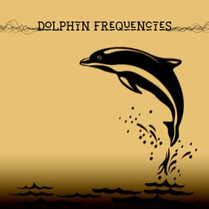 Dolphin Inner Sway - Kelsy Owell