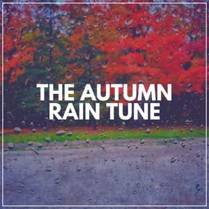 The Autumn Rain Tune - Meditation Rain Sounds