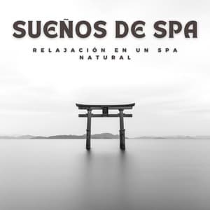 Sueños de Spa: Relajación en un Spa Natural - Sonidos Naturaleza