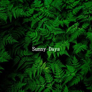 Sunny Days - Bossanova Jazz
