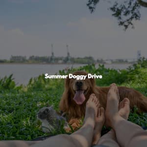 Summer Doggy Drive - Jazz Ambiance