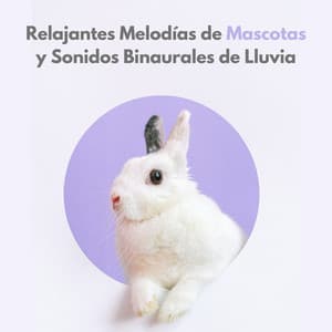 Relajantes Melodías De Mascotas Y Sonidos Binaurales De Lluvia - Mente de serenidad binaural