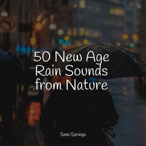 50 New Age Rain Sounds from Nature - ASMR Sleep Sounds