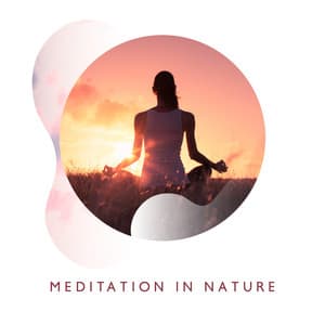 Meditation in Nature: Calming Moments, Nature Ambience Music, Time of Contemplation, Wonderful Sounds - Om Meditation Music Academy