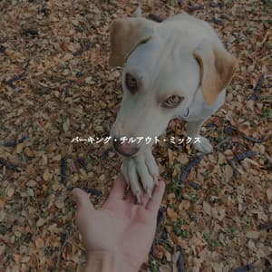 バーキング・チルアウト・ミックス - The Elevator Music Jazz Trio