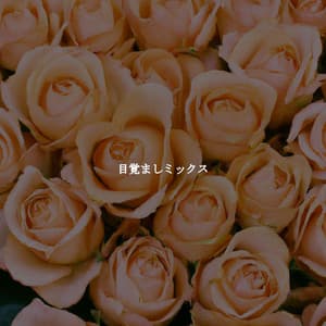 目覚ましミックス - Playliste Travail à Domicile