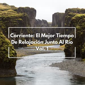 Corriente: El Mejor Tiempo De Relajación Junto Al Río Vol. 1 - Ambiente de agua