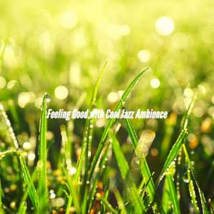 Feeling Good with Cool Jazz Ambience - Hotel Lobby Lounge