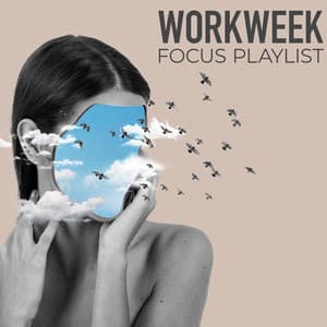 Workweek Focus Playlist - Office Background Music