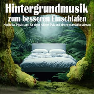 Hintergrundmusik zum besseren Einschlafen: meditative Musik sorgt für einen ruhigen Puls und eine gleichmäßige Atmung - Der gesunde Schlaf