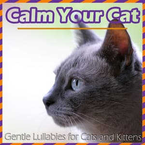 Calm Your Cat - Gentle Lullabies for Cats and Kittens - RelaxMyCat