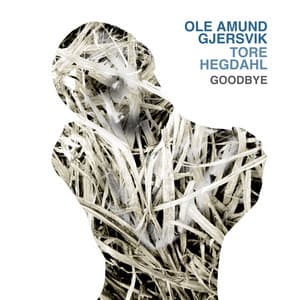 Goodbye - Ole Amund Gjersvik
