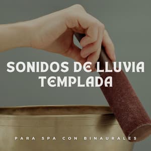 Sonidos De Lluvia Templada Para Spa Con Binaurales - Sonidos de lluvia ACE