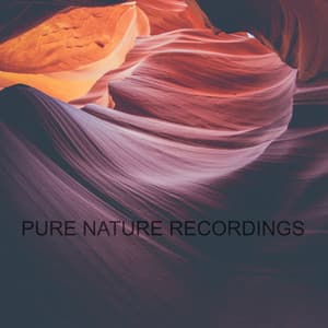 Pure Nature Recordings - 4D Nature Recordings