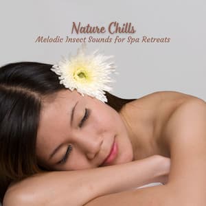 Nature Chills: Melodic Insect Sounds for Spa Retreats - Peaceful Nature Sounds