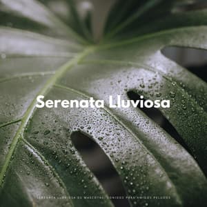 Serenata Lluviosa De Mascotas: Sonidos Para Amigos Peludos - Delmar Herrero