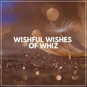 Wishful Wishes of Whiz - LO-FI BEATS
